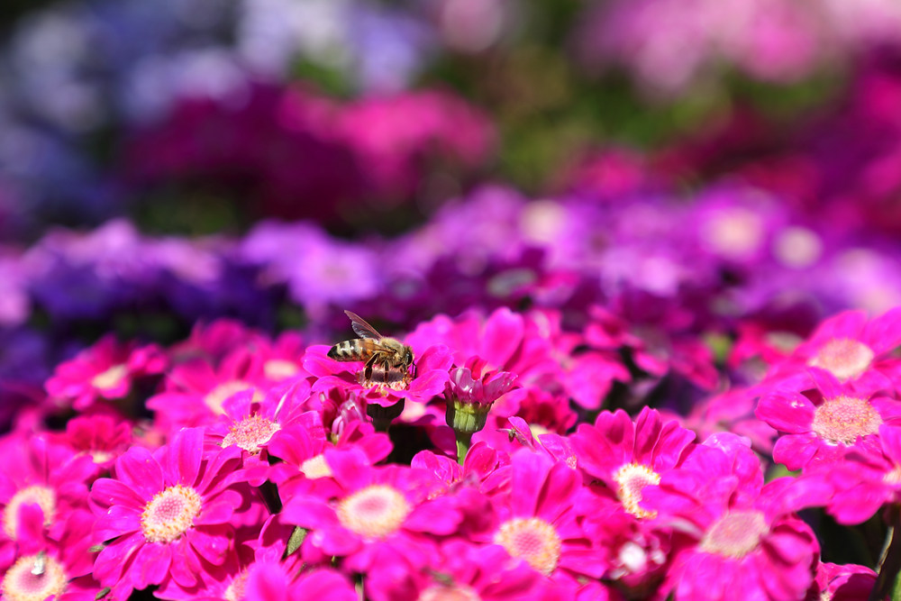 1690873626170726.jpg 3.jpg